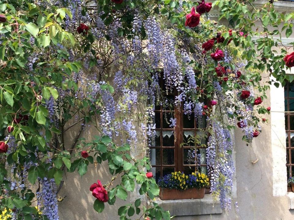 Cote Jardin Panzió Villiers-sur-Loir Kültér fotó
